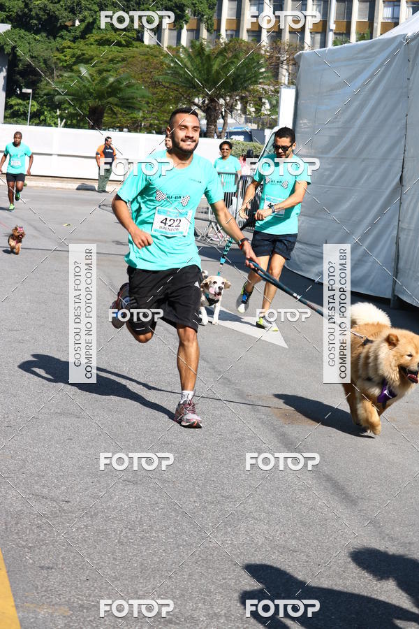 Buy your photos of the event2� Pet Run Shopping Eldorado  on Fotop