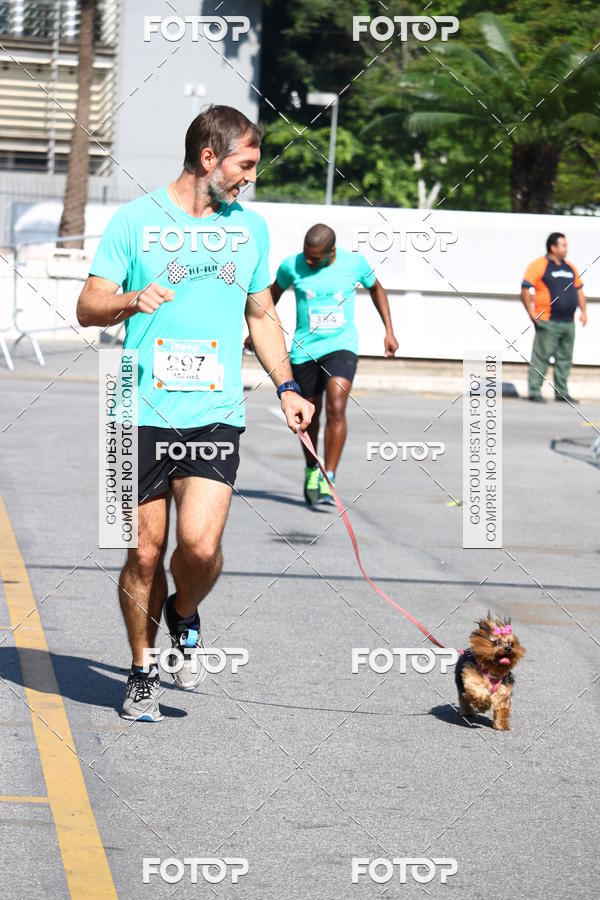 Buy your photos of the event2� Pet Run Shopping Eldorado  on Fotop