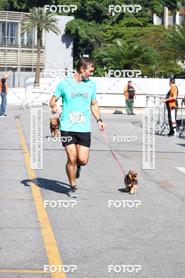 Buy your photos of the event2� Pet Run Shopping Eldorado  on Fotop