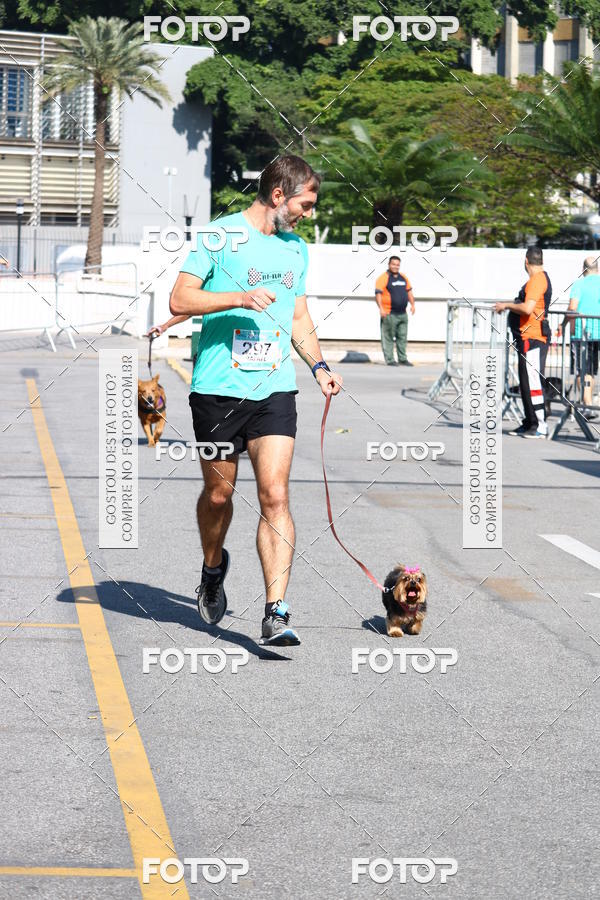 Buy your photos of the event2� Pet Run Shopping Eldorado  on Fotop
