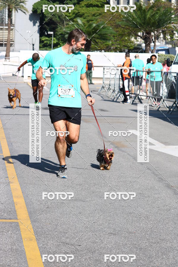 Buy your photos of the event2� Pet Run Shopping Eldorado  on Fotop
