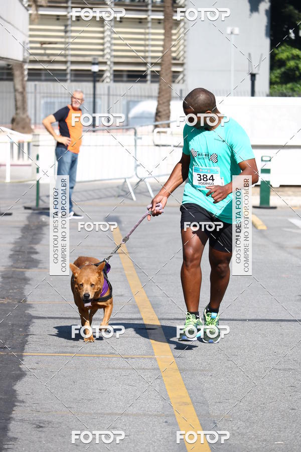 Buy your photos of the event2� Pet Run Shopping Eldorado  on Fotop