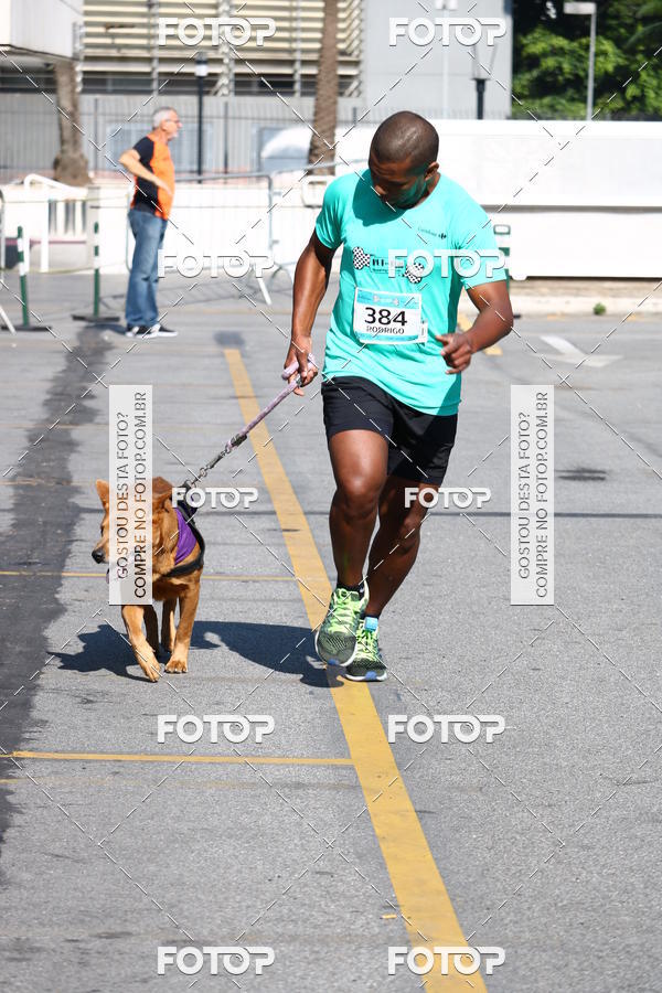 Buy your photos of the event2� Pet Run Shopping Eldorado  on Fotop