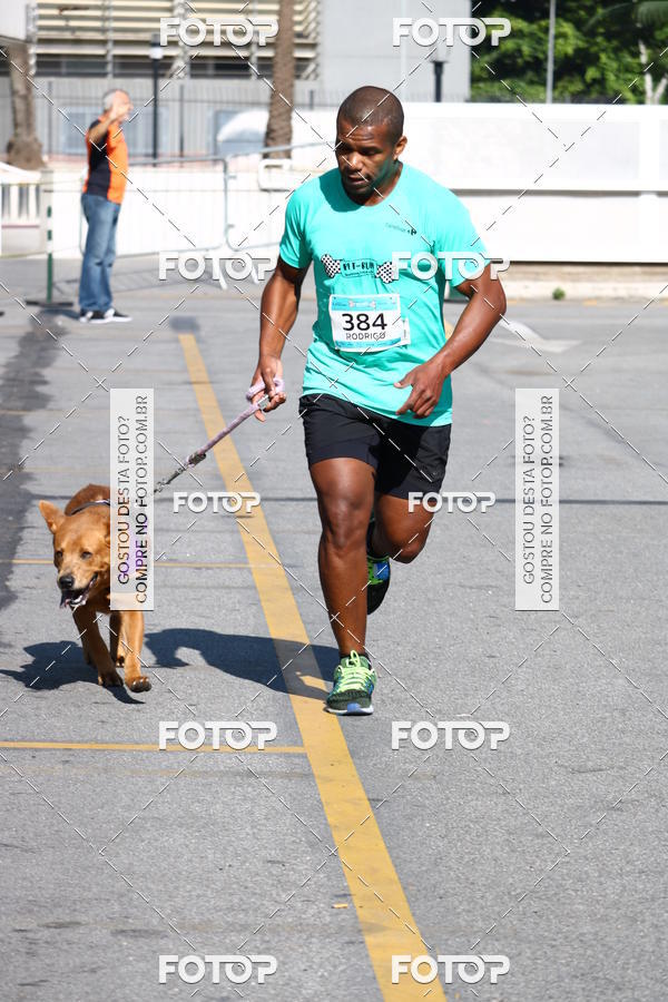 Buy your photos of the event2� Pet Run Shopping Eldorado  on Fotop