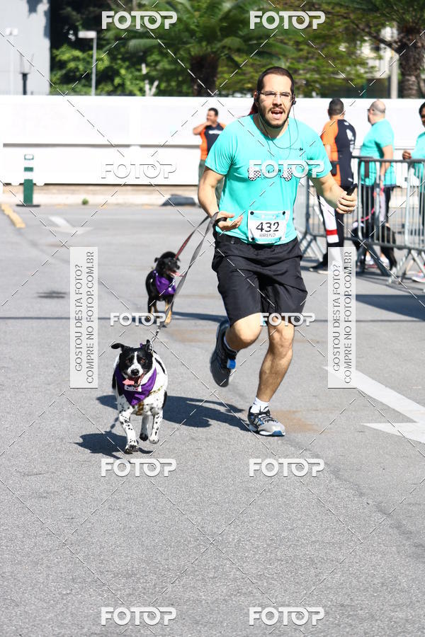 Buy your photos of the event2� Pet Run Shopping Eldorado  on Fotop