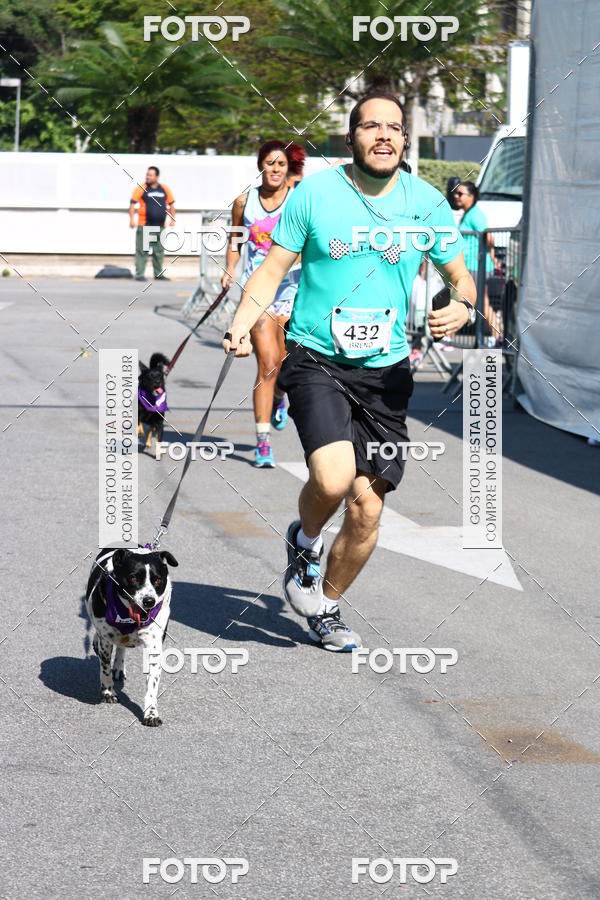 Buy your photos of the event2� Pet Run Shopping Eldorado  on Fotop