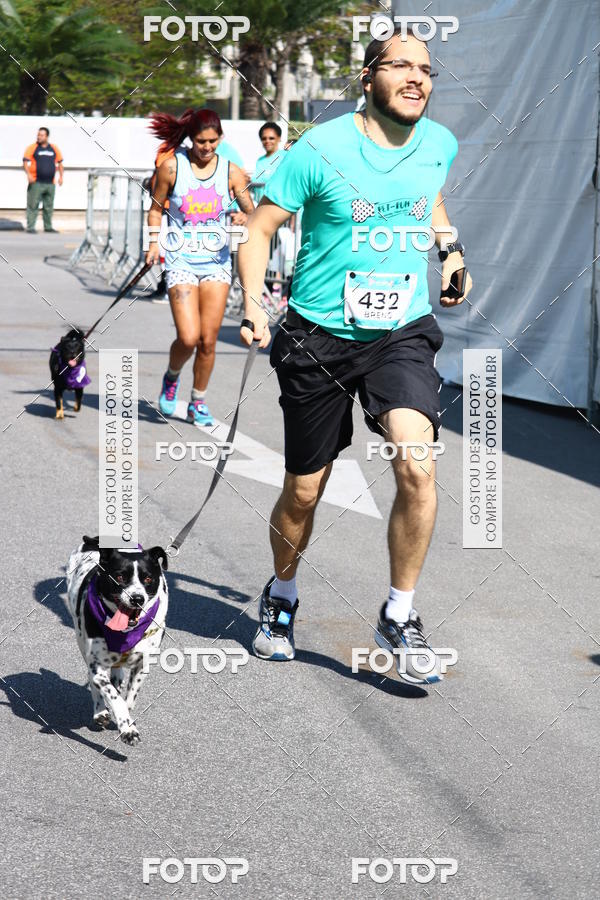 Buy your photos of the event2� Pet Run Shopping Eldorado  on Fotop