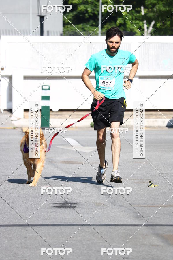 Buy your photos of the event2� Pet Run Shopping Eldorado  on Fotop
