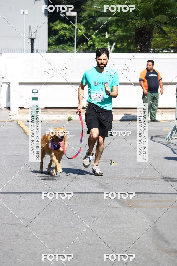 Buy your photos of the event2� Pet Run Shopping Eldorado  on Fotop