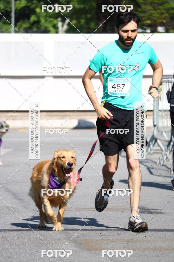 Buy your photos of the event2� Pet Run Shopping Eldorado  on Fotop