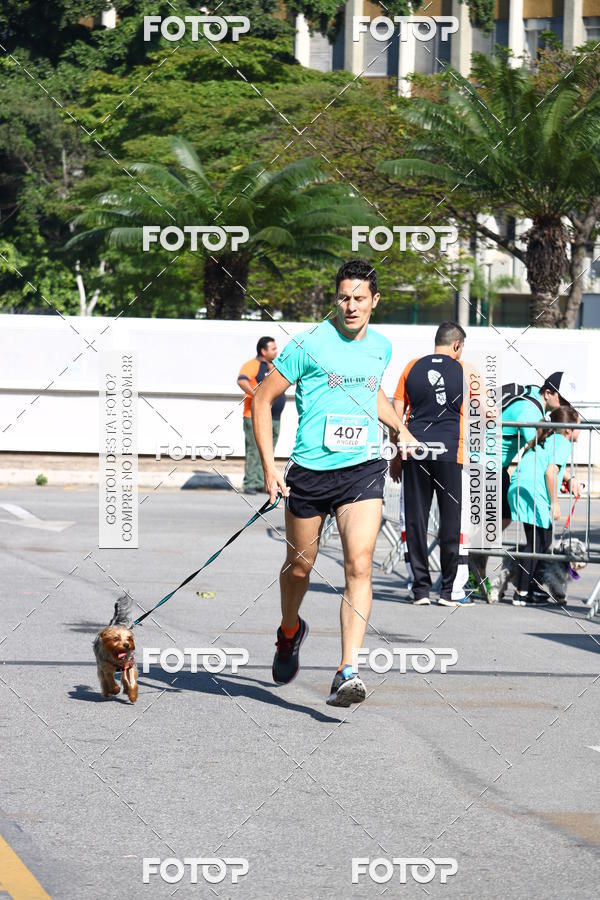 Buy your photos of the event2� Pet Run Shopping Eldorado  on Fotop