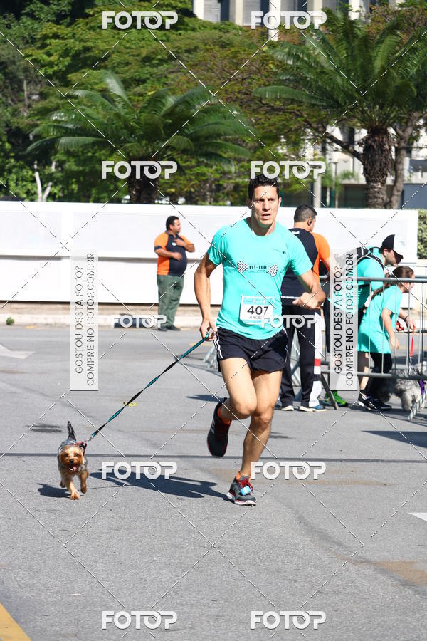 Buy your photos of the event2� Pet Run Shopping Eldorado  on Fotop