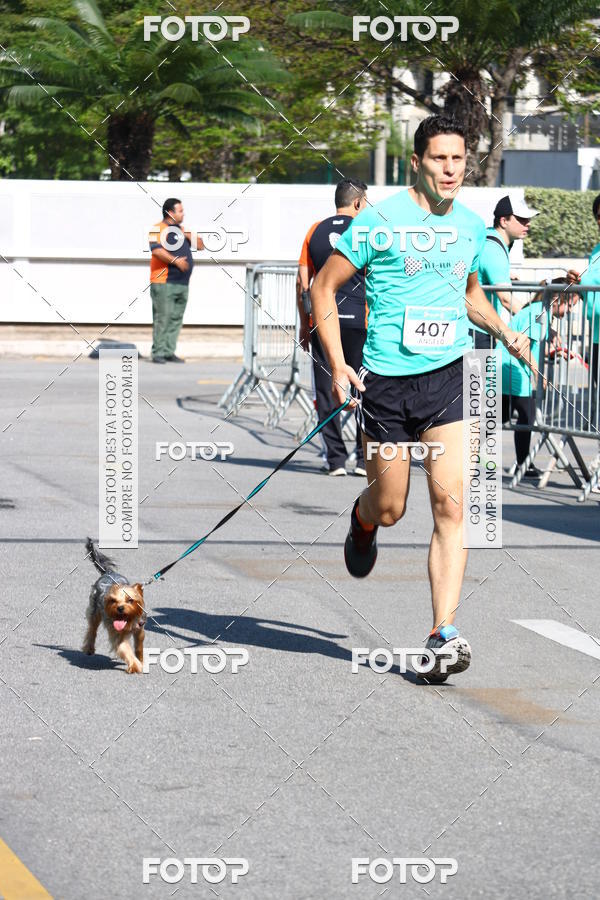 Buy your photos of the event2� Pet Run Shopping Eldorado  on Fotop