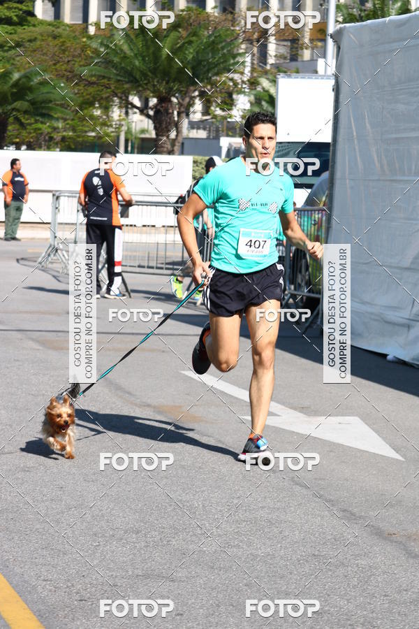 Buy your photos of the event2� Pet Run Shopping Eldorado  on Fotop