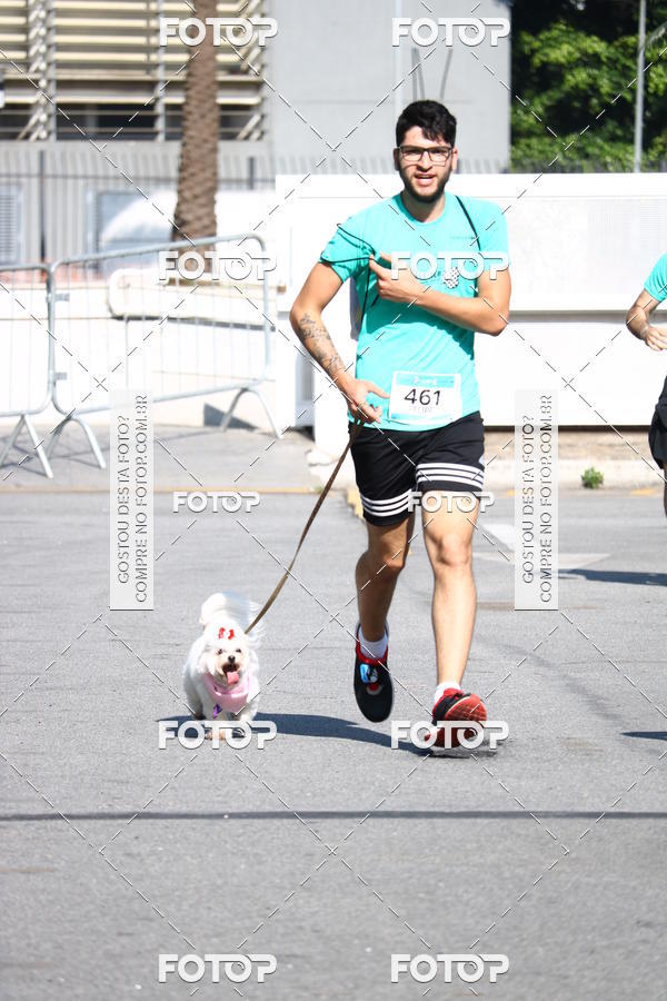 Buy your photos of the event2� Pet Run Shopping Eldorado  on Fotop