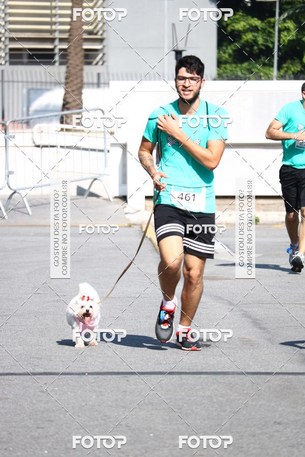 Buy your photos of the event2� Pet Run Shopping Eldorado  on Fotop