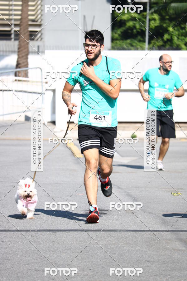 Buy your photos of the event2� Pet Run Shopping Eldorado  on Fotop