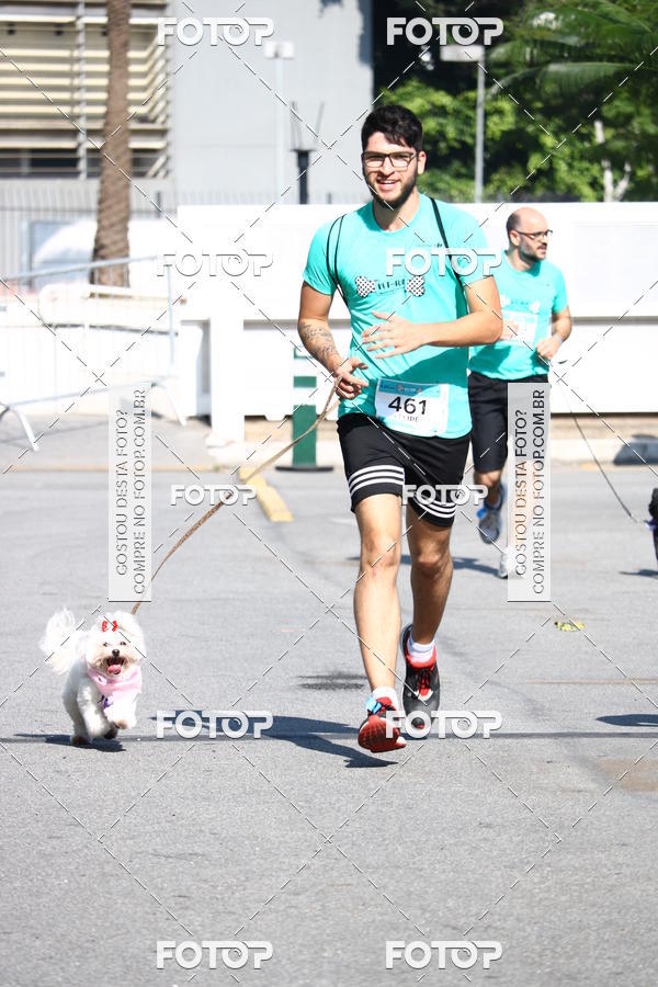 Buy your photos of the event2� Pet Run Shopping Eldorado  on Fotop