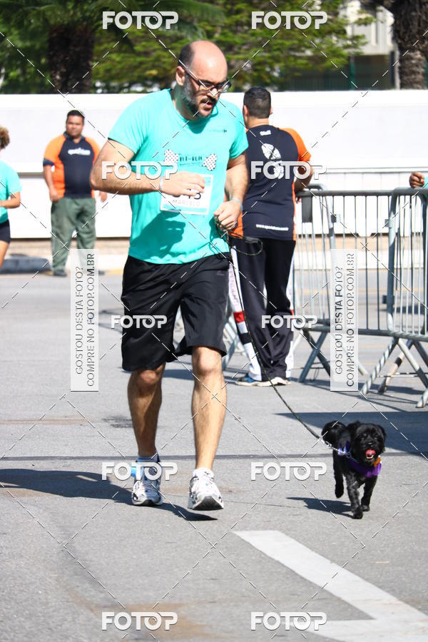 Buy your photos of the event2� Pet Run Shopping Eldorado  on Fotop