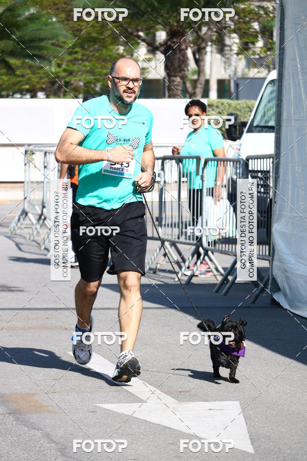 Buy your photos of the event2� Pet Run Shopping Eldorado  on Fotop