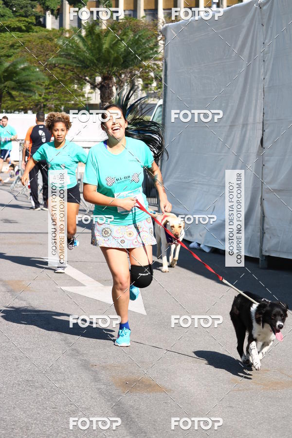 Buy your photos of the event2� Pet Run Shopping Eldorado  on Fotop