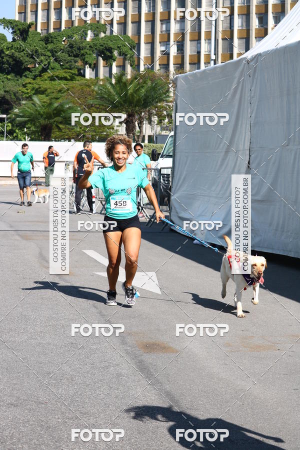 Buy your photos of the event2� Pet Run Shopping Eldorado  on Fotop