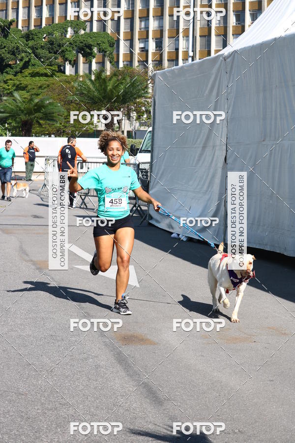 Buy your photos of the event2� Pet Run Shopping Eldorado  on Fotop