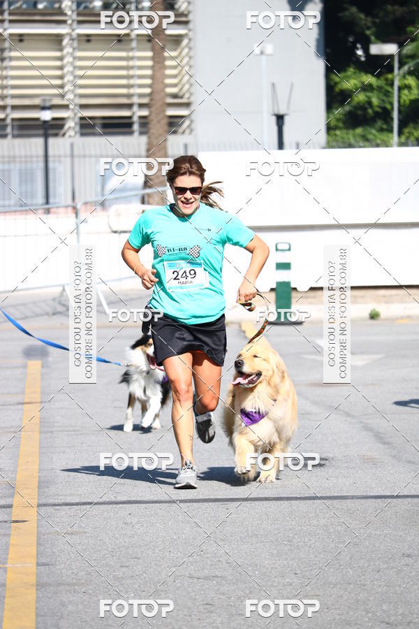 Buy your photos of the event2� Pet Run Shopping Eldorado  on Fotop