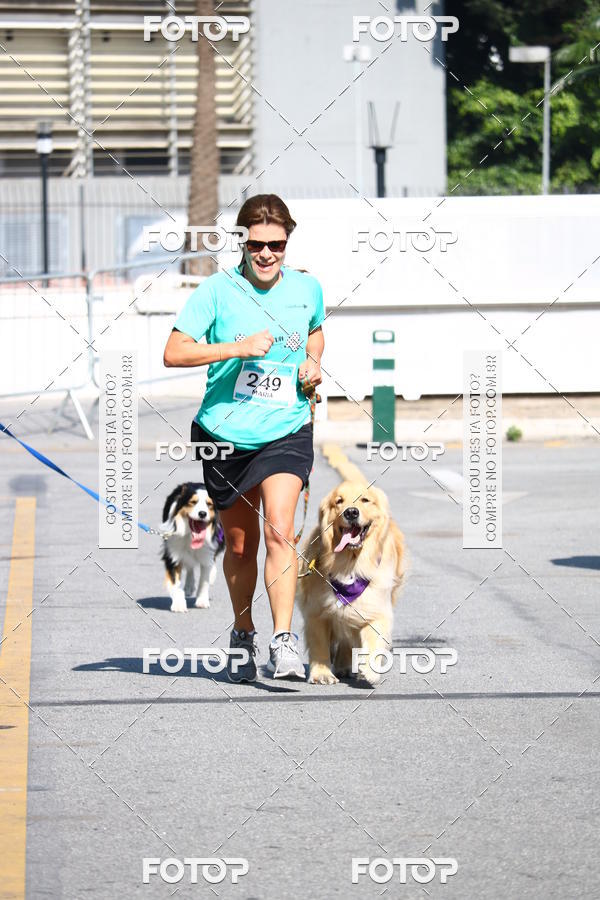 Buy your photos of the event2� Pet Run Shopping Eldorado  on Fotop