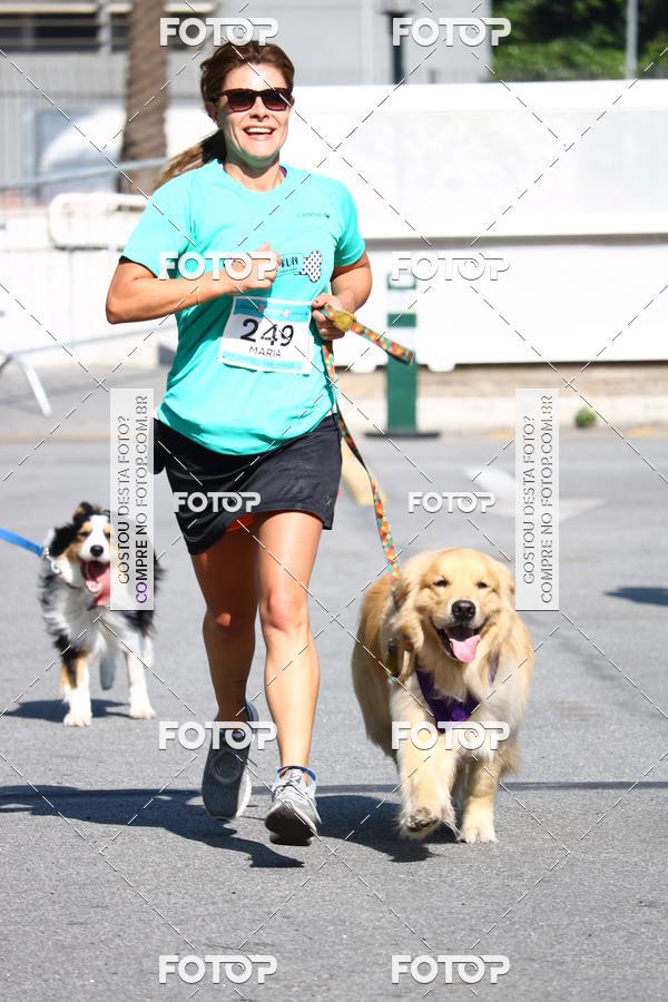 Buy your photos of the event2� Pet Run Shopping Eldorado  on Fotop