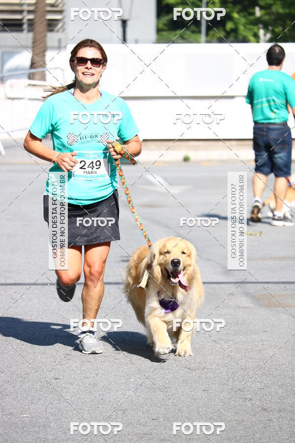 Buy your photos of the event2� Pet Run Shopping Eldorado  on Fotop