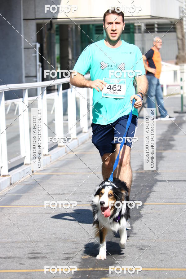 Buy your photos of the event2� Pet Run Shopping Eldorado  on Fotop