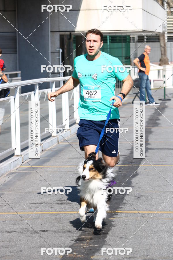 Buy your photos of the event2� Pet Run Shopping Eldorado  on Fotop