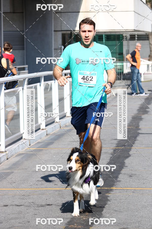 Buy your photos of the event2� Pet Run Shopping Eldorado  on Fotop