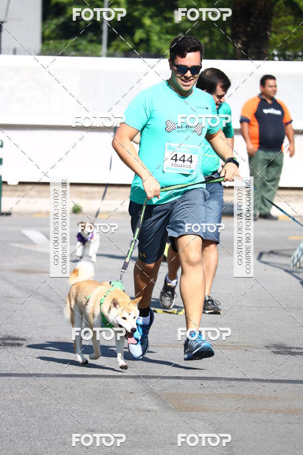 Buy your photos of the event2� Pet Run Shopping Eldorado  on Fotop