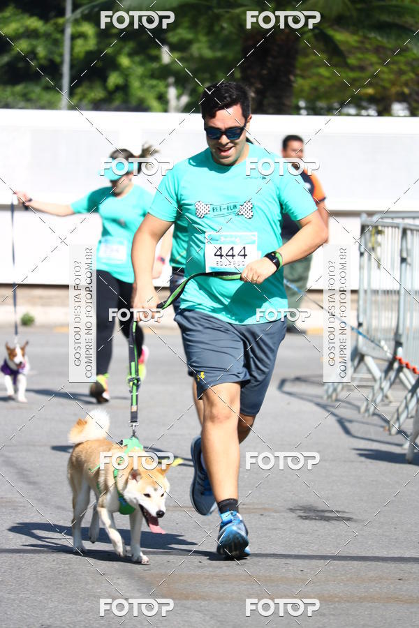 Buy your photos of the event2� Pet Run Shopping Eldorado  on Fotop