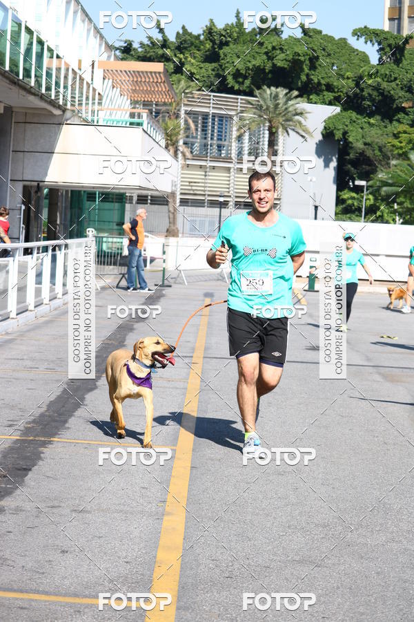 Buy your photos of the event2� Pet Run Shopping Eldorado  on Fotop