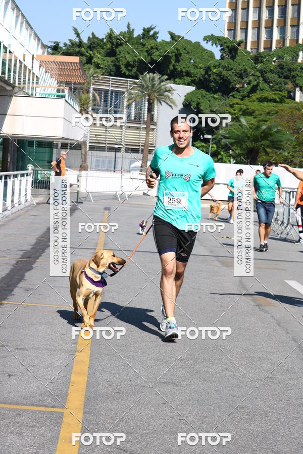Buy your photos of the event2� Pet Run Shopping Eldorado  on Fotop
