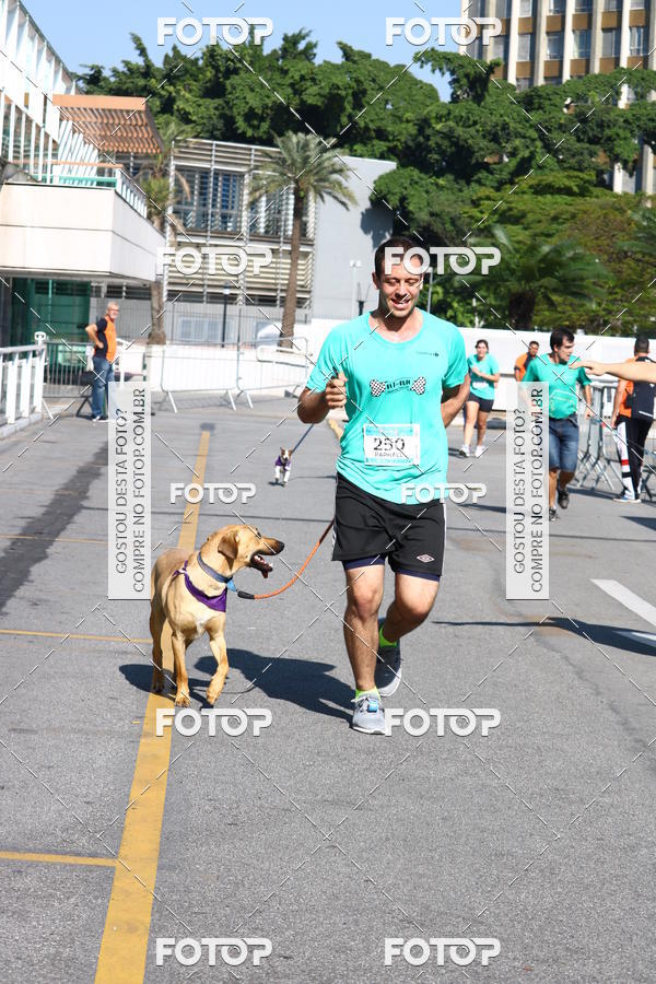 Buy your photos of the event2� Pet Run Shopping Eldorado  on Fotop