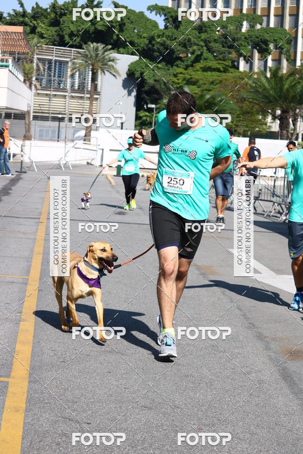 Buy your photos of the event2� Pet Run Shopping Eldorado  on Fotop