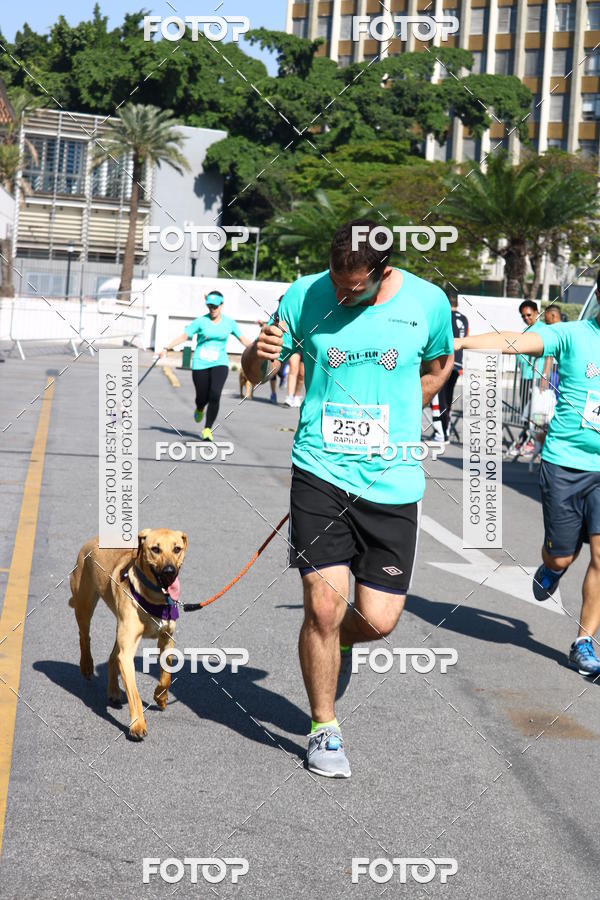 Buy your photos of the event2� Pet Run Shopping Eldorado  on Fotop