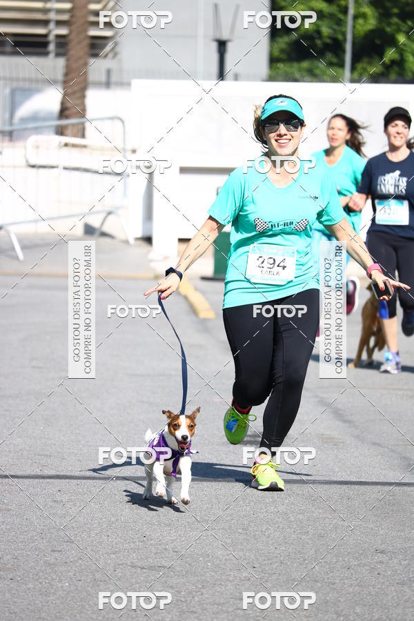 Buy your photos of the event2� Pet Run Shopping Eldorado  on Fotop