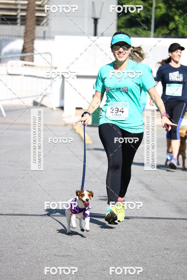 Buy your photos of the event2� Pet Run Shopping Eldorado  on Fotop