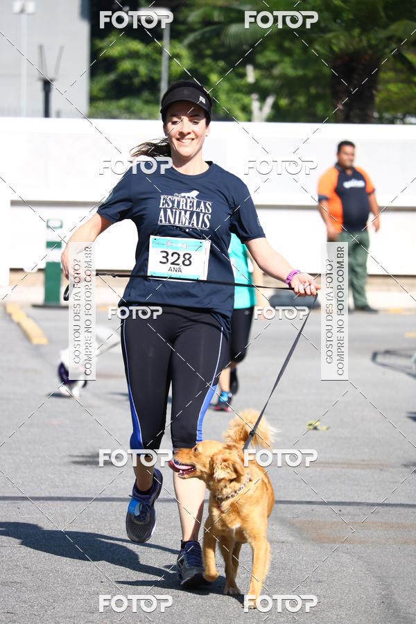 Buy your photos of the event2� Pet Run Shopping Eldorado  on Fotop
