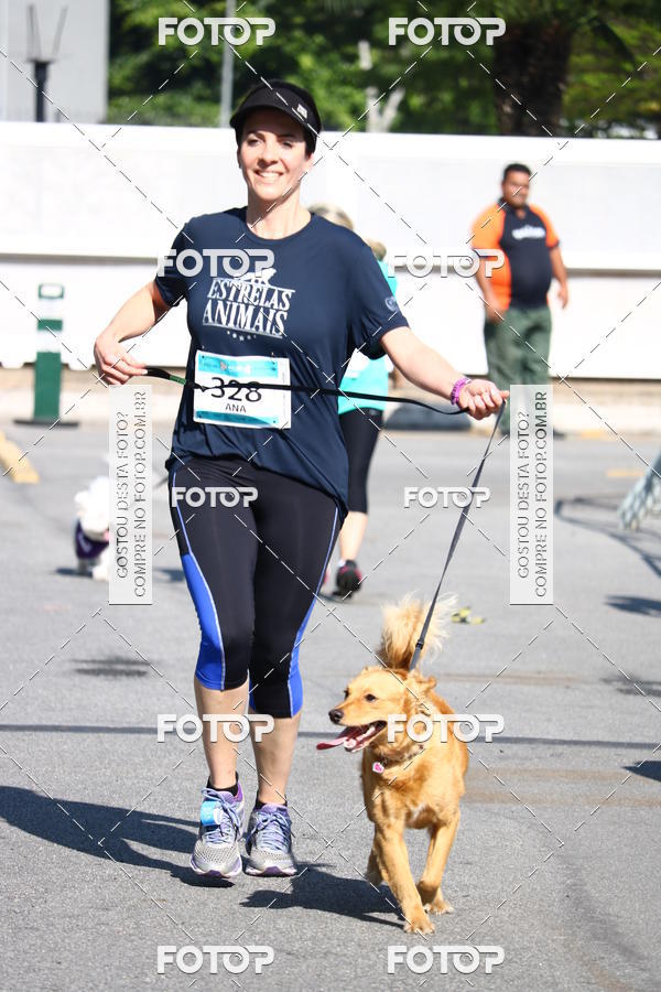 Buy your photos of the event2� Pet Run Shopping Eldorado  on Fotop