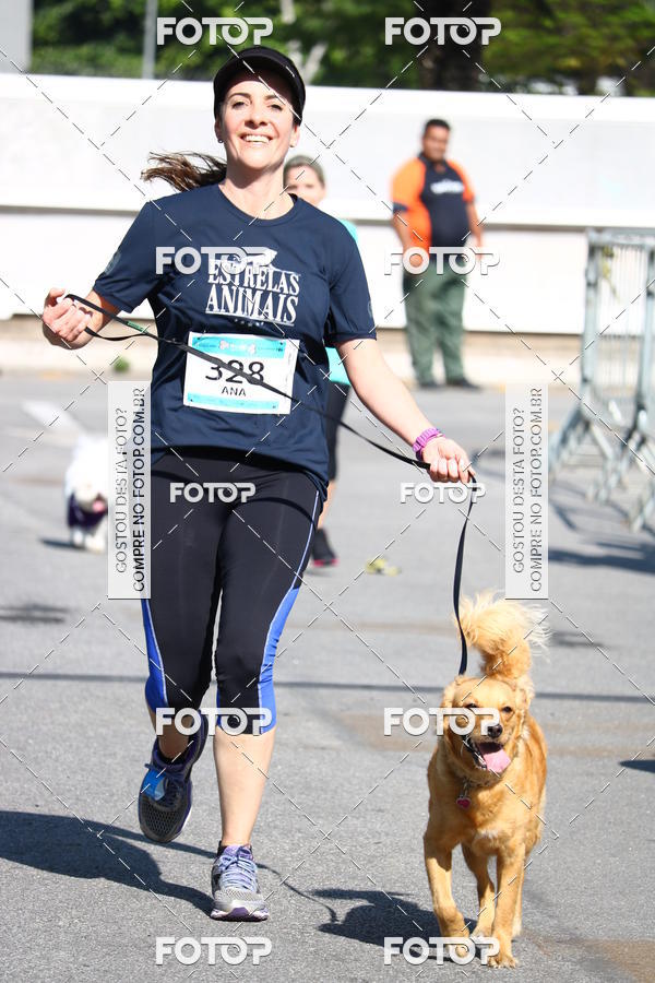 Buy your photos of the event2� Pet Run Shopping Eldorado  on Fotop