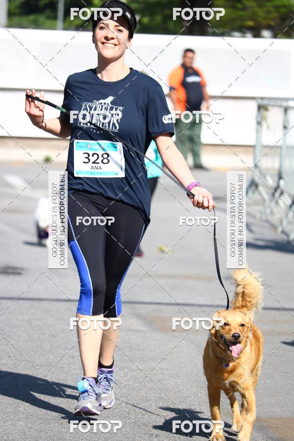 Buy your photos of the event2� Pet Run Shopping Eldorado  on Fotop