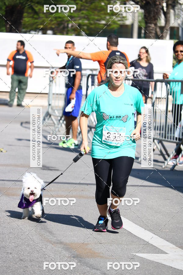 Buy your photos of the event2� Pet Run Shopping Eldorado  on Fotop