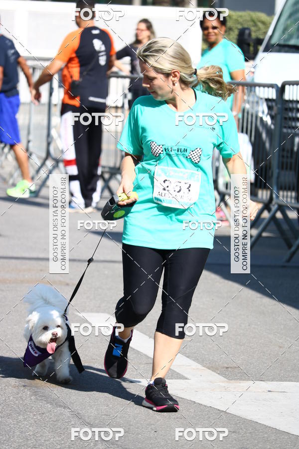 Buy your photos of the event2� Pet Run Shopping Eldorado  on Fotop