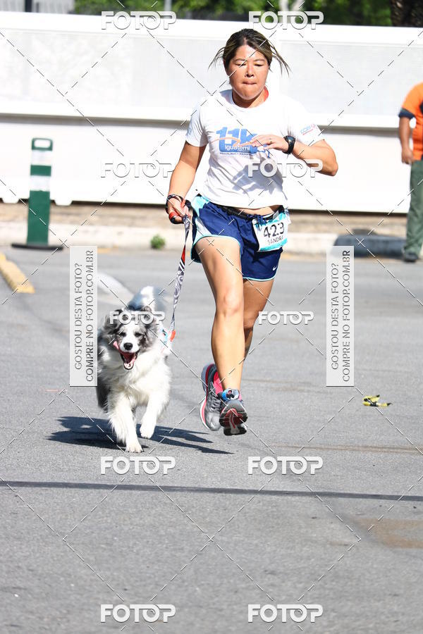 Buy your photos of the event2� Pet Run Shopping Eldorado  on Fotop